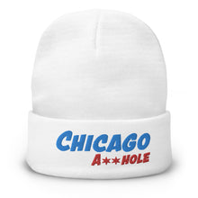 Tinfoil Chicago Asshole Embroidered Beanie